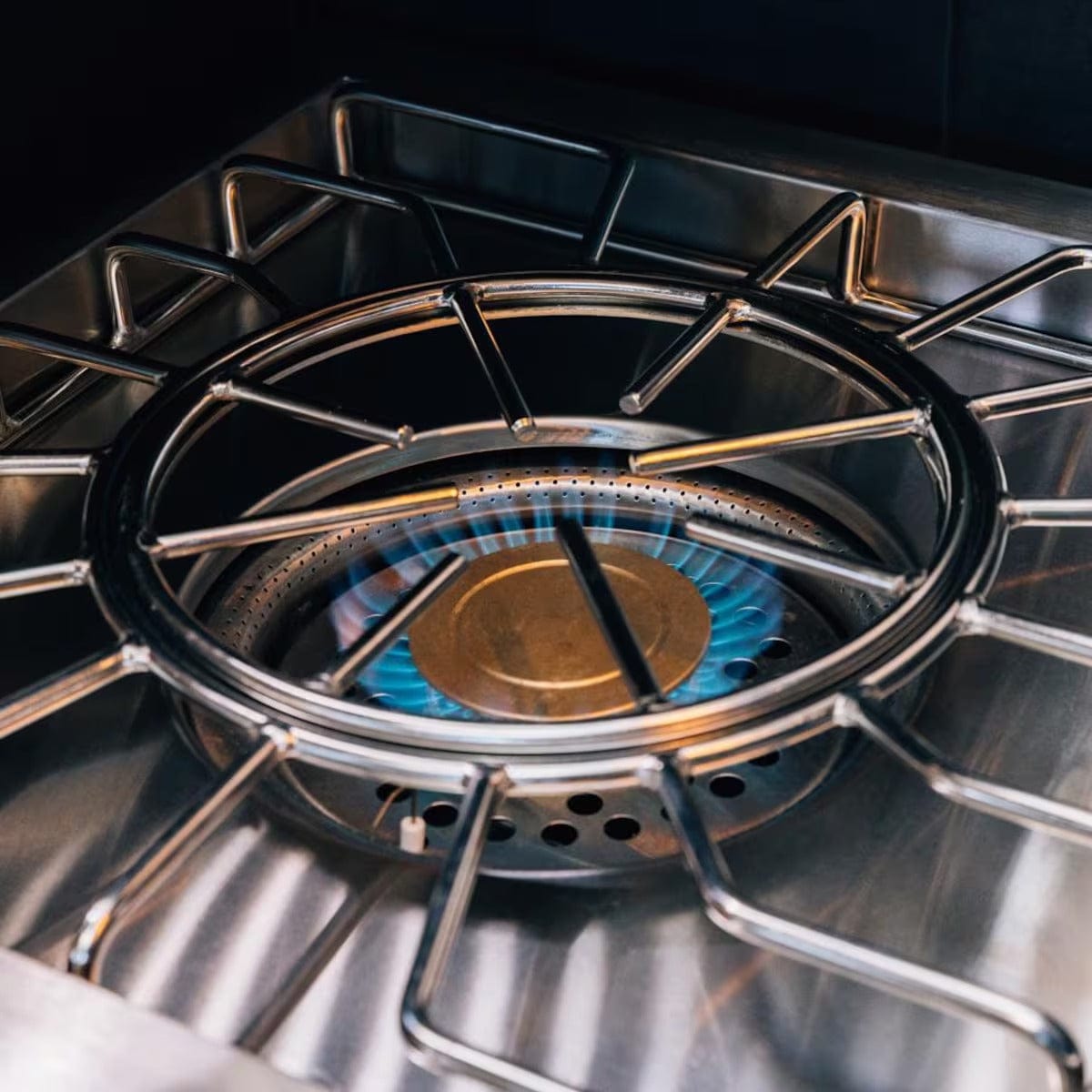 American Made Grills Estate Power Burner – Built-In Natural Gas / Propane Burner (ESTPB2-NG / ESTPB2-LP)