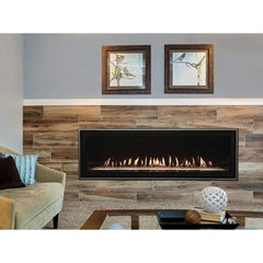 Empire 48" Boulevard Direct Vent Linear Gas Fireplace with Liner and Multi-Function Remote DVLL48BP92P