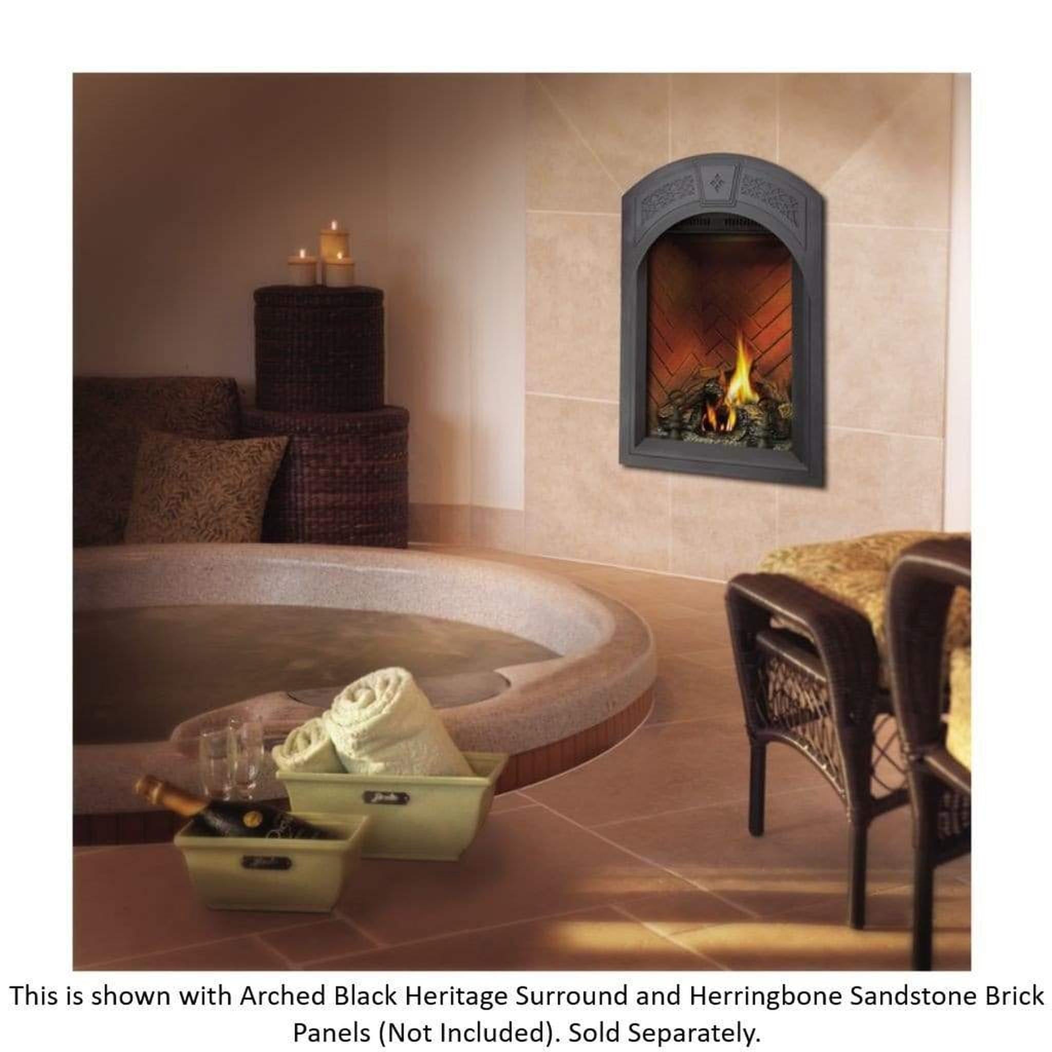 Napoleon 28-Inch Park Avenue Direct Vent Gas Fireplace Compact Indoor GD82NT-PAESB