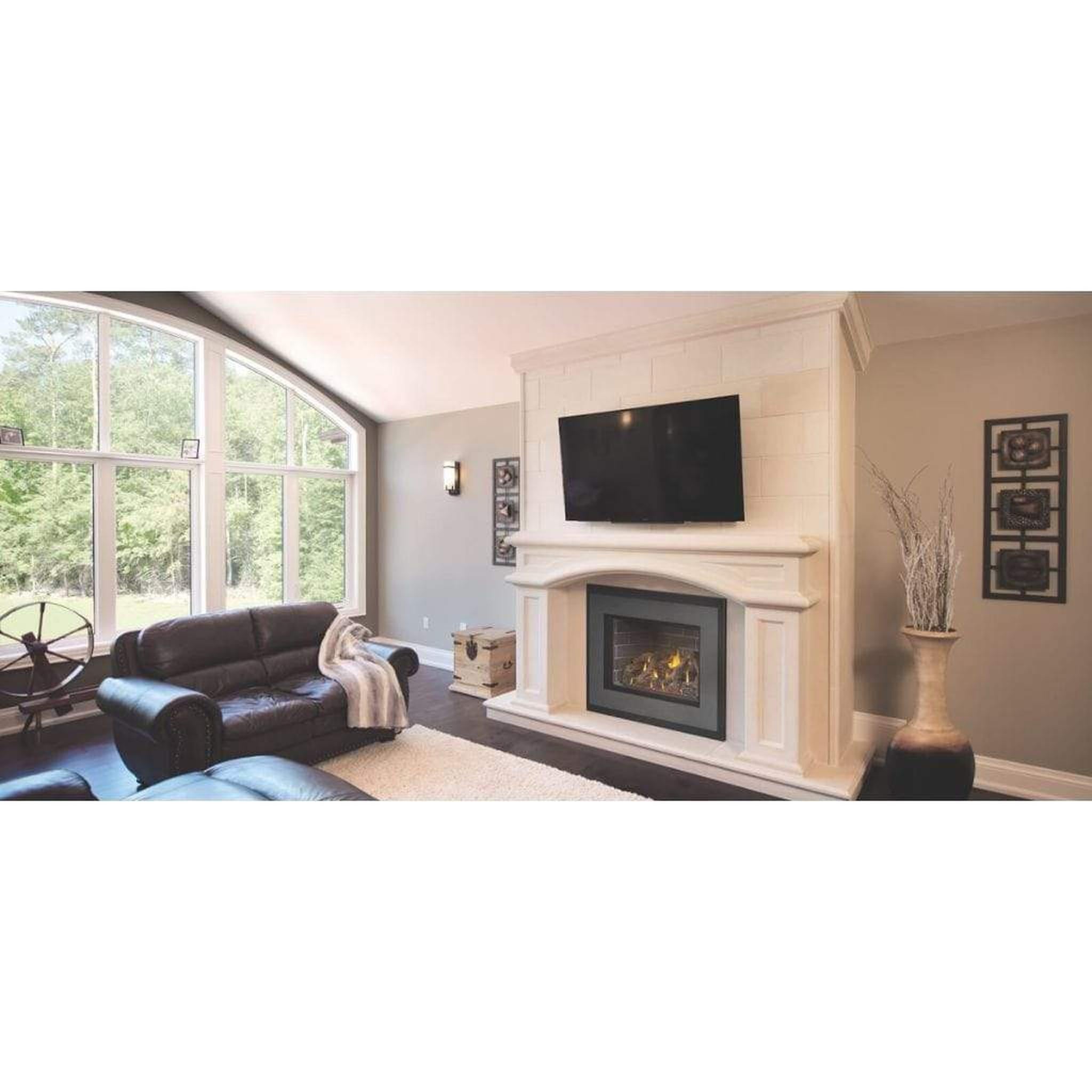 Napoleon 34-Inch Oakville X4 Direct Vent Gas Fireplace Insert High Efficiency Indoor GDIX4N-1