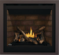 Napoleon 36-Inch Altitude Electronic Ignition Propane Gas Direct Vent Fireplace Indoor A36PTE