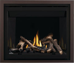 Napoleon 42-Inch Altitude Electronic Ignition Propane Gas Direct Vent Fireplace Indoor A42PTE