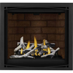 Napoleon 36-Inch Altitude X Electronic Ignition Propane Gas Direct Vent Fireplace Indoor AX36PTE-1