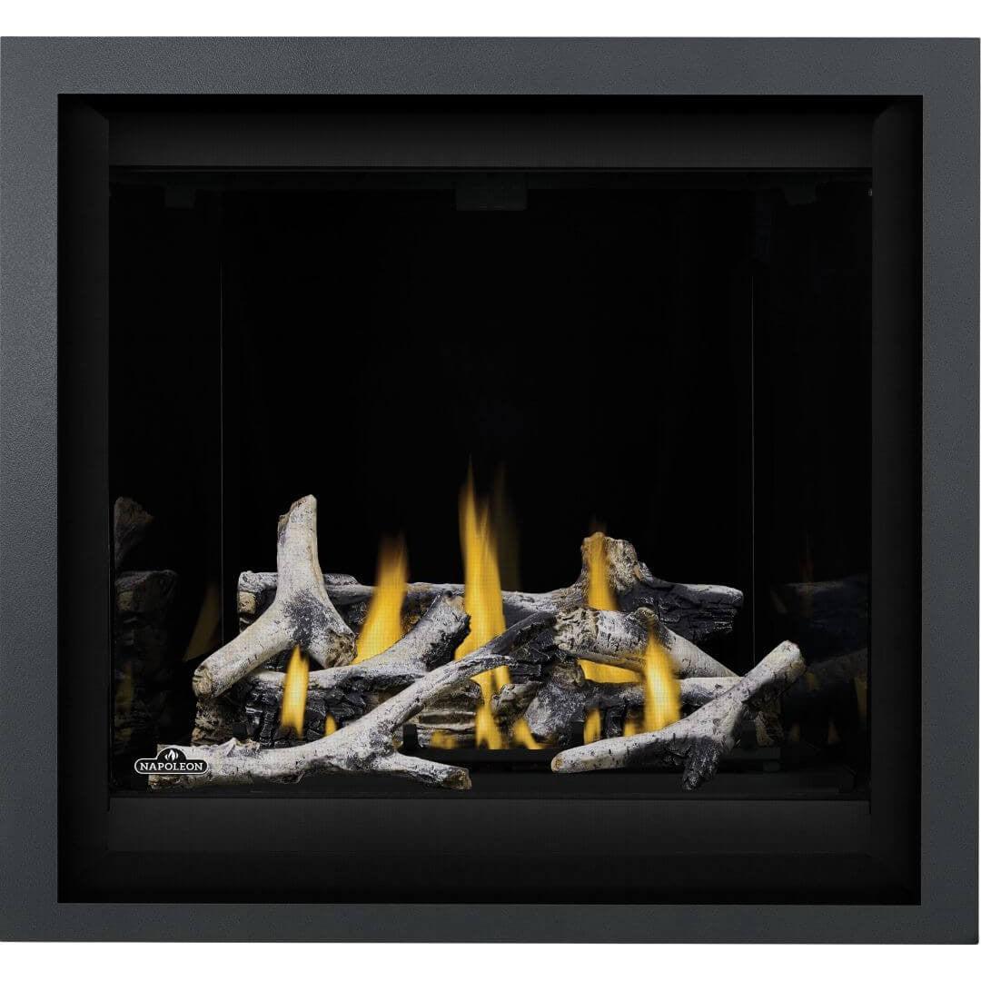Napoleon 36-Inch Altitude X Electronic Ignition Propane Gas Direct Vent Fireplace Indoor AX36PTE-1