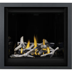 Napoleon 36-Inch Altitude X Electronic Ignition Propane Gas Direct Vent Fireplace Indoor AX36PTE-1