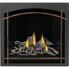 Napoleon 36-Inch Altitude X Electronic Ignition Propane Gas Direct Vent Fireplace Indoor AX36PTE-1