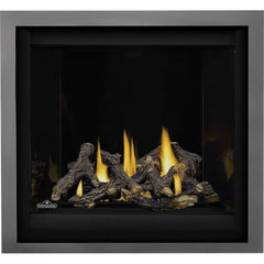 Napoleon 36-Inch Altitude X Electronic Ignition Propane Gas Direct Vent Fireplace Indoor AX36PTE-1