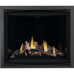 Napoleon 42-Inch Altitude X Electronic Ignition Propane Gas Direct Vent Fireplace Indoor AX42PTE-1