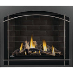 Napoleon 42-Inch Altitude X Electronic Ignition Propane Gas Direct Vent Fireplace Indoor AX42PTE-1