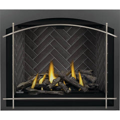 Napoleon 42-Inch Altitude X Electronic Ignition Propane Gas Direct Vent Fireplace Indoor AX42PTE-1