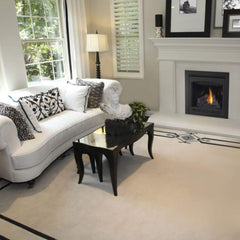 Napoleon 30-Inch Ascent Electronic Ignition Natural Gas Direct Vent Fireplace Indoor B30NTRE-1