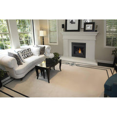 Napoleon 30-Inch Ascent Electronic Ignition Natural Gas Direct Vent Fireplace Indoor B30NTRE-1