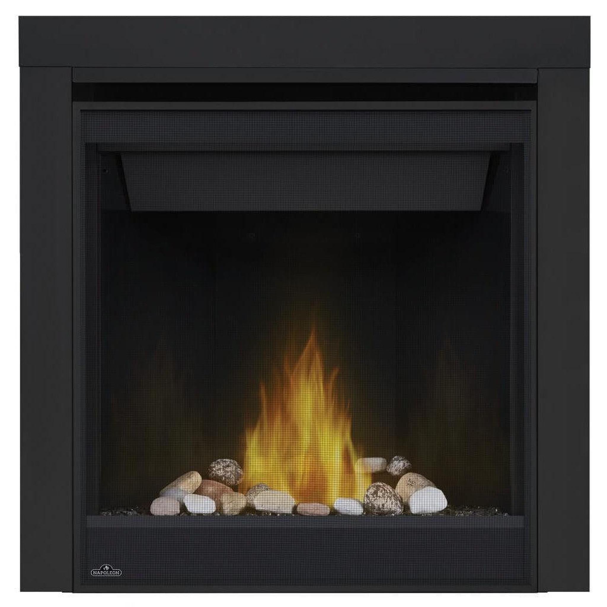 Napoleon 30-Inch Ascent Electronic Ignition Natural Gas Direct Vent Fireplace Indoor B30NTRE-1