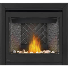 Napoleon 36-Inch Ascent Electronic Ignition Natural Gas Direct Vent Fireplace Indoor B36NTRE-1