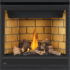 Napoleon 36-Inch Ascent Electronic Ignition Natural Gas Direct Vent Fireplace Indoor B36NTRE-1