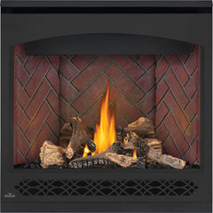 Napoleon 36-Inch Ascent Electronic Ignition Natural Gas Direct Vent Fireplace Indoor B36NTRE-1