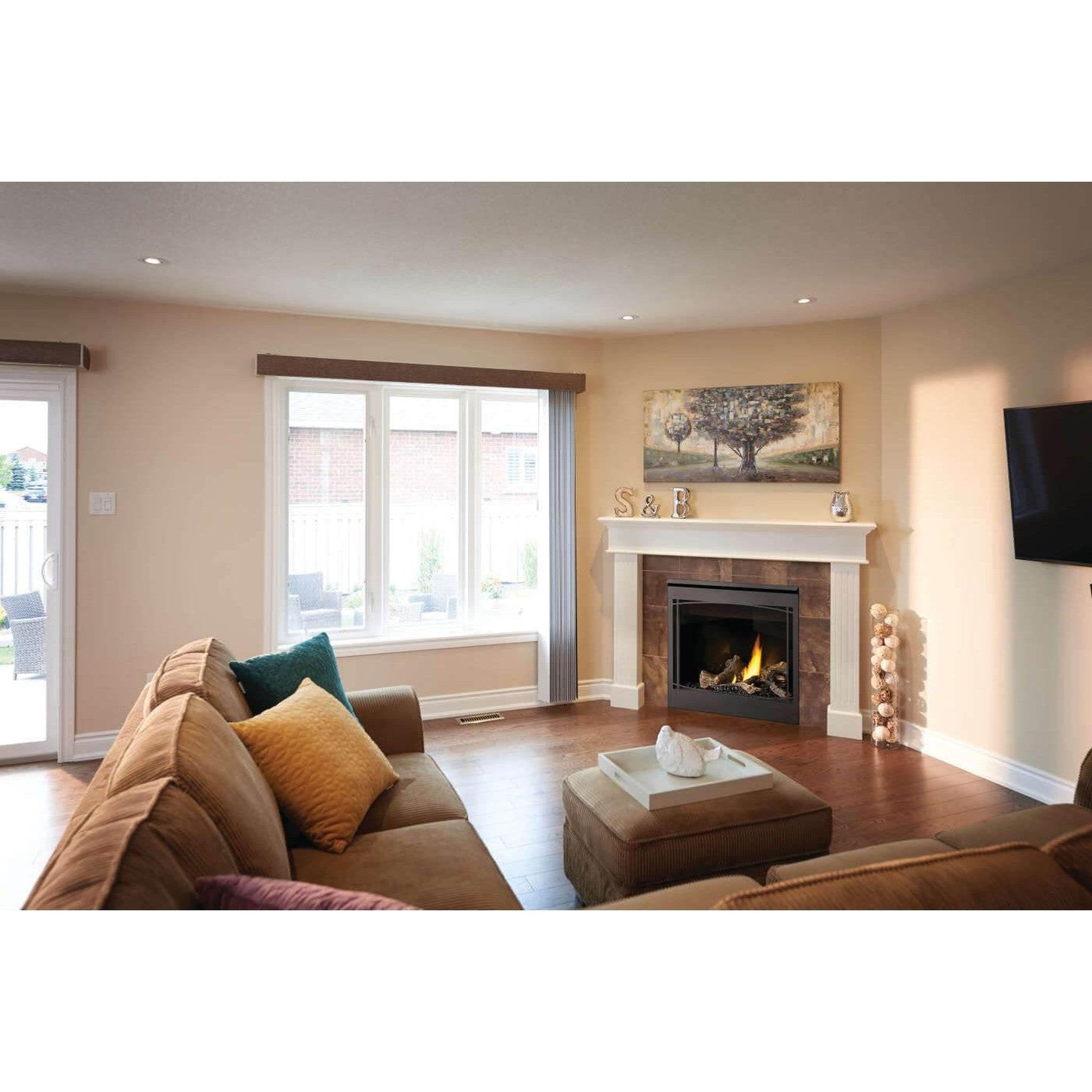 Napoleon 36-Inch Ascent Electronic Ignition Natural Gas Direct Vent Fireplace Indoor B36NTRE-1