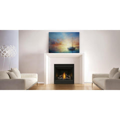 Napoleon 46-Inch Ascent Electronic Ignition Natural Gas Direct Vent Fireplace Indoor B46NTRE