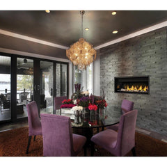 Napoleon 46-Inch Ascent Electronic Ignition Natural Gas Direct Vent Linear Fireplace Indoor BL46NTE-1