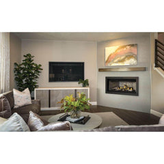 Napoleon 46-Inch Ascent Electronic Ignition Natural Gas Direct Vent Linear Fireplace Indoor BL46NTE-1