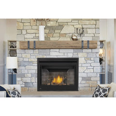 Napoleon 42-Inch Ascent BX Direct Vent Fireplace Electronic Ignition Natural Gas Indoor BX42NTRE