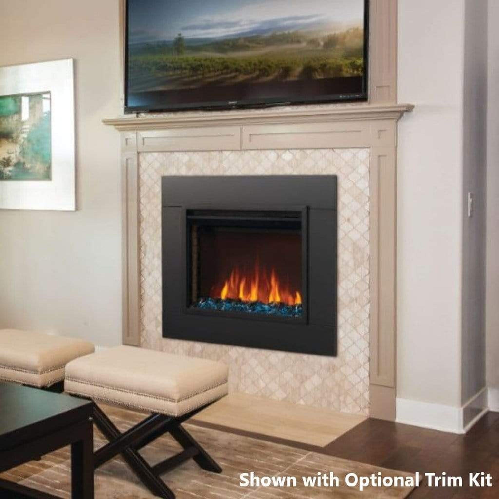 Napoleon 26-Inch Cineview Built-In Electric Fireplace Insert Versatile Heating Indoor NEFB26H