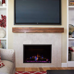 Napoleon 30-Inch Cine view Built-In Electric Fireplace Insert Indoor NEFB30H