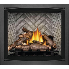 Napoleon 36-Inch Elevation Direct Vent Fireplace Electronic Ignition Propane Gas Indoor E36PTE