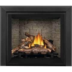 Napoleon 36-Inch Elevation Direct Vent Fireplace Electronic Ignition Propane Gas Indoor E36PTE