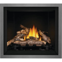 Napoleon 36-Inch Elevation Direct Vent Fireplace Millivolt Ignition Natural Gas Indoor E36NT