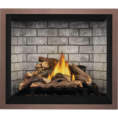 Napoleon 42-Inch Elevation Direct Vent Fireplace Millivolt Ignition Propane Gas Indoor E42PT