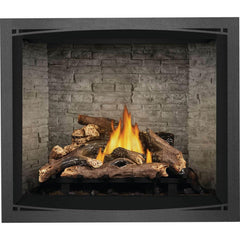 Napoleon 42-Inch Elevation Direct Vent Fireplace Millivolt Ignition Propane Gas Indoor E42PT