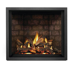 Napoleon 42-Inch Elevation X Direct Vent Fireplace Electronic Ignition Propane Gas Indoor EX42PTEL