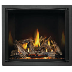 Napoleon 42-Inch Elevation X Direct Vent Fireplace Electronic Ignition Propane Gas Indoor EX42PTEL