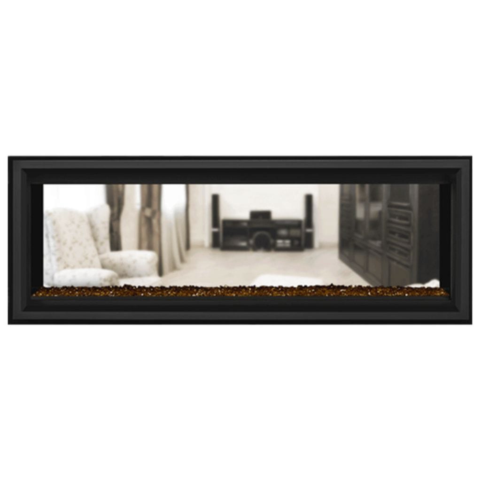 Napoleon 50-Inch Vector See Through Linear Direct Vent Fireplace Natural Gas Indoor LV50N2-2