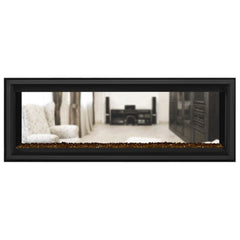 Napoleon 50-Inch Vector See Through Linear Direct Vent Fireplace Natural Gas Indoor LV50N2-2