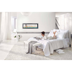 Napoleon 50-Inch Vector See Through Linear Direct Vent Fireplace Natural Gas Indoor LV50N2-2