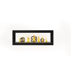 Napoleon 50-Inch Vector See Through Linear Direct Vent Fireplace Natural Gas Indoor LV50N2-2