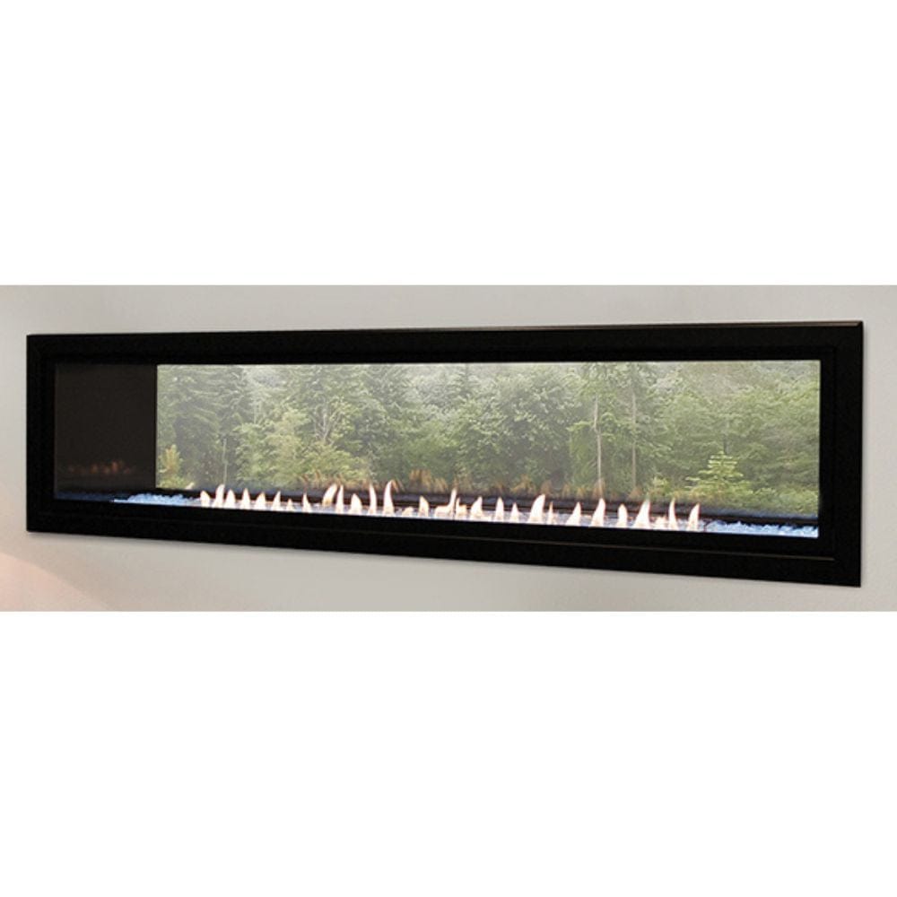 Empire 60" Boulevard Double-Sided Vent-Free Linear Gas Fireplace with Barrier and Remote Control VFLB60SP90P