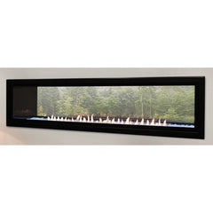 Empire 60" Boulevard Double-Sided Vent-Free Linear Gas Fireplace with Barrier and Remote Control VFLB60SP90P