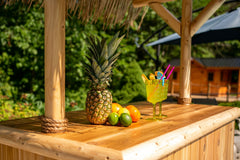 Dundalk LeisureCraft Southern Fantasy Tiki Bar