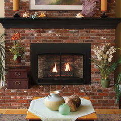 Empire 25" Franklin Clean-Face Direct Vent Gas Fireplace Insert with Log Set and Blower DVC20IN31P