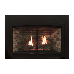Empire 25" Franklin Clean-Face Direct Vent Gas Fireplace Insert with Log Set and Blower DVC20IN31P