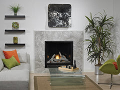 Empire 42" Madison Clean-Face Contemporary Direct Vent Gas Fireplace with Liner and Barrier DVCC42BP32P
