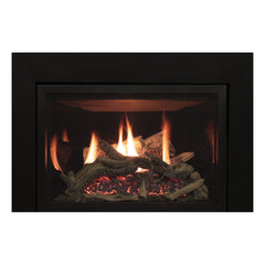 Empire 30" Renegade Clean-Face Direct Vent Gas Fireplace Insert with Multi-Function Remote and Blower DVCT30CBN95P