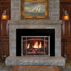 Empire 30" Renegade Clean-Face Direct Vent Gas Fireplace Insert with Multi-Function Remote and Blower DVCT30CBN95P
