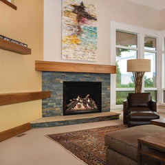 Empire 50" Renegade Clean-Face Direct Vent Gas Fireplace with TruFlame Technology DVCT50CBP95P
