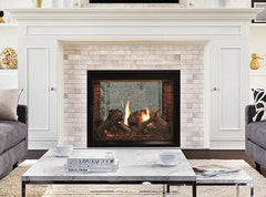 Empire 40" Renegade Clean-Face Double-Sided Direct Vent Gas Fireplace with TruFlame Technology DVCT40CSP95P