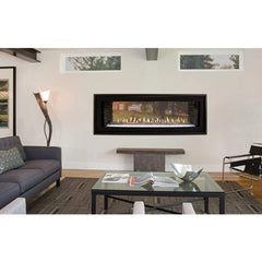 Empire 48" Boulevard Double-Sided Direct Vent Linear Gas Fireplace with Multi-Function Remote DVLL48SP90P