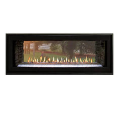 Empire 48" Boulevard Double-Sided Direct Vent Linear Gas Fireplace with Multi-Function Remote DVLL48SP90P